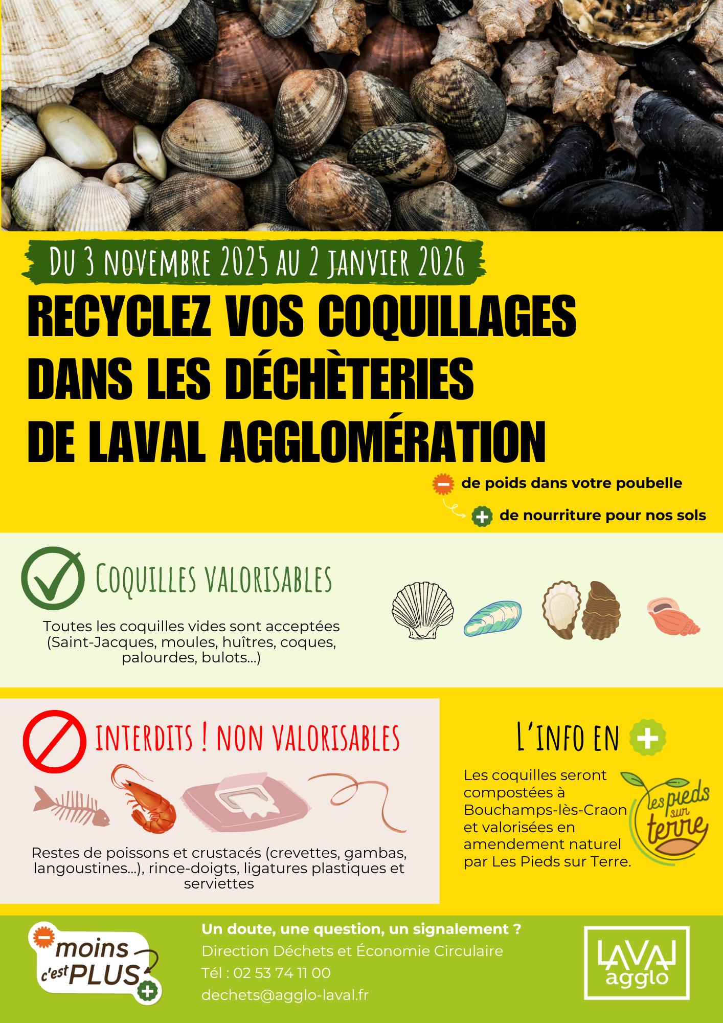 recyclez vos coquillages